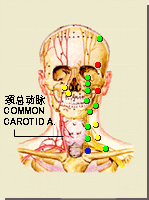 氣舍穴的位置