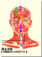 承浆穴的位置