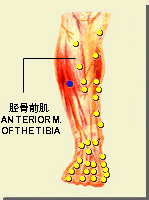 丰隆的位置