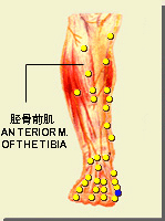 大都的位置