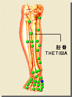 公孫的位置