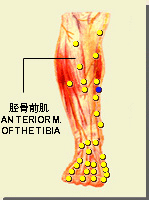 漏谷的位置