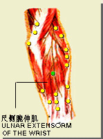 四渎穴的位置