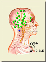 天牖穴的位置