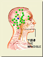 角孫穴的位置