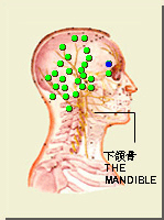 絲竹空穴的位置