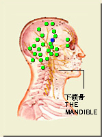 懸釐穴的位置