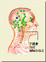 天衝穴的位置