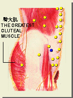 维道穴的位置