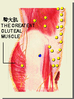 居髎穴的位置