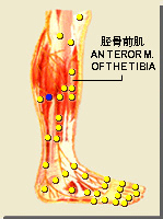 陽交穴的位置