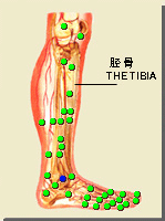 丘墟穴的位置