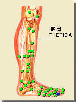 足竅陰穴的位置