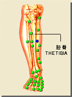 中都穴的位置