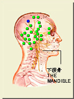 承灵穴的位置