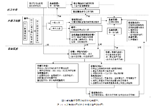 县域脑血管病分级诊疗临床路径