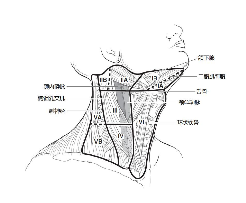 圖.png