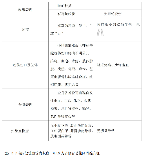 表.png