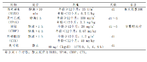 C-PEB化疗方案