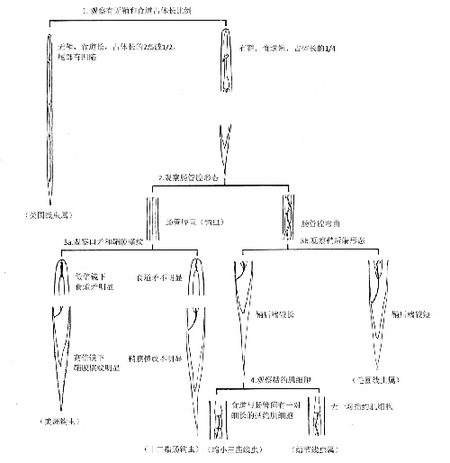图.png