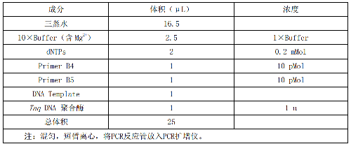 表.png