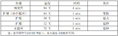 表.png
