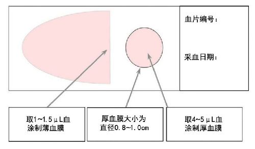 图.png