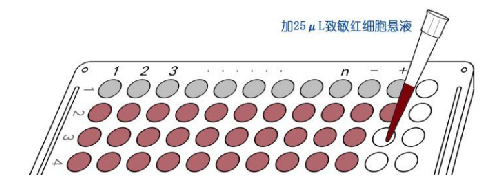 图.png