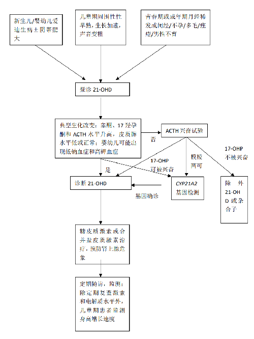 21-羟化酶缺乏症诊疗流程图