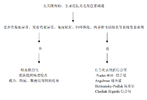 白化病診療流程圖