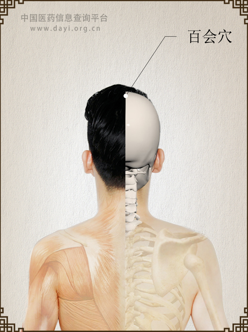 百会穴