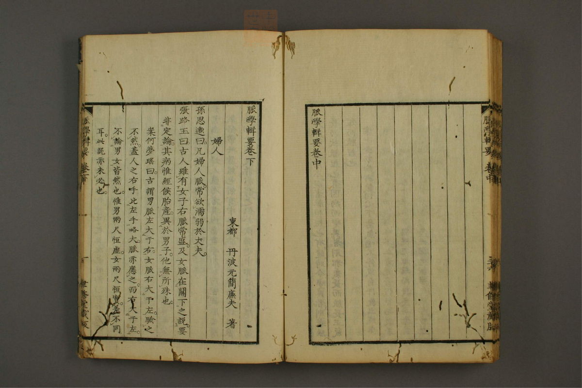 脉学专辑(第58页)