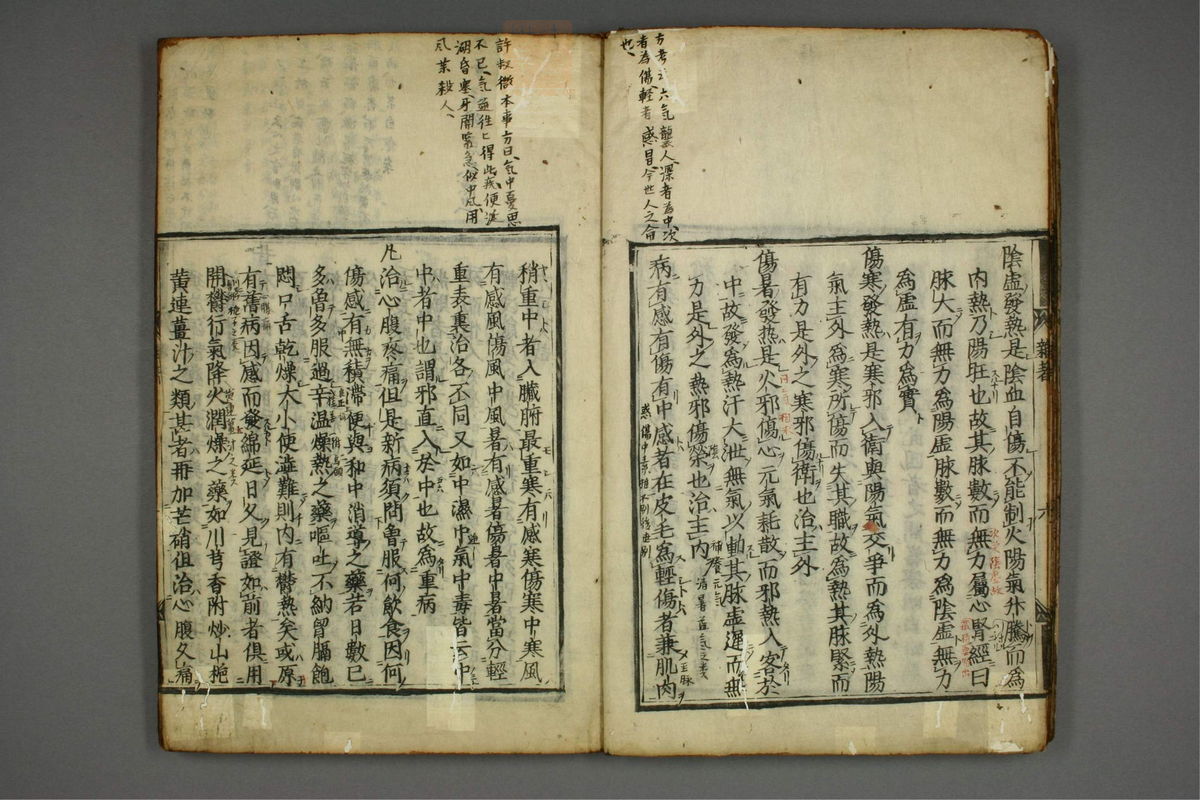 明医杂著(第11页)