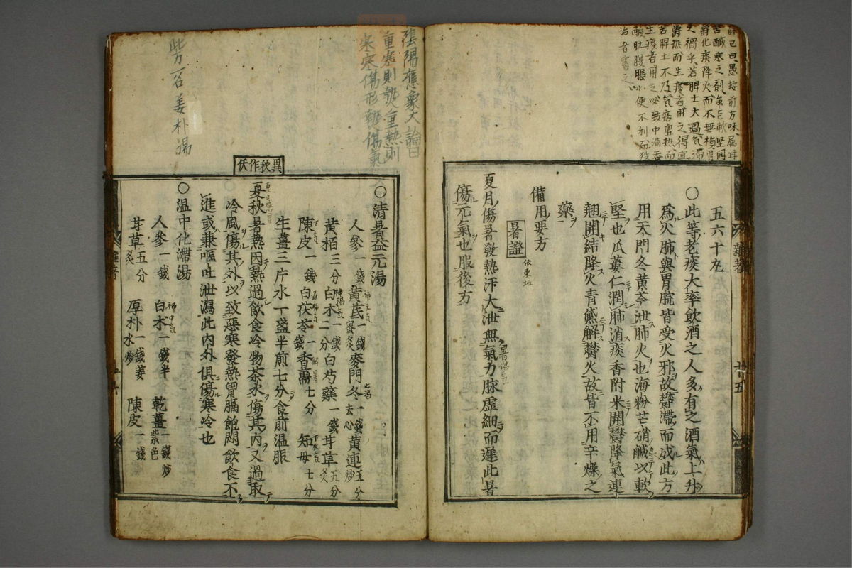 明医杂著(第20页)