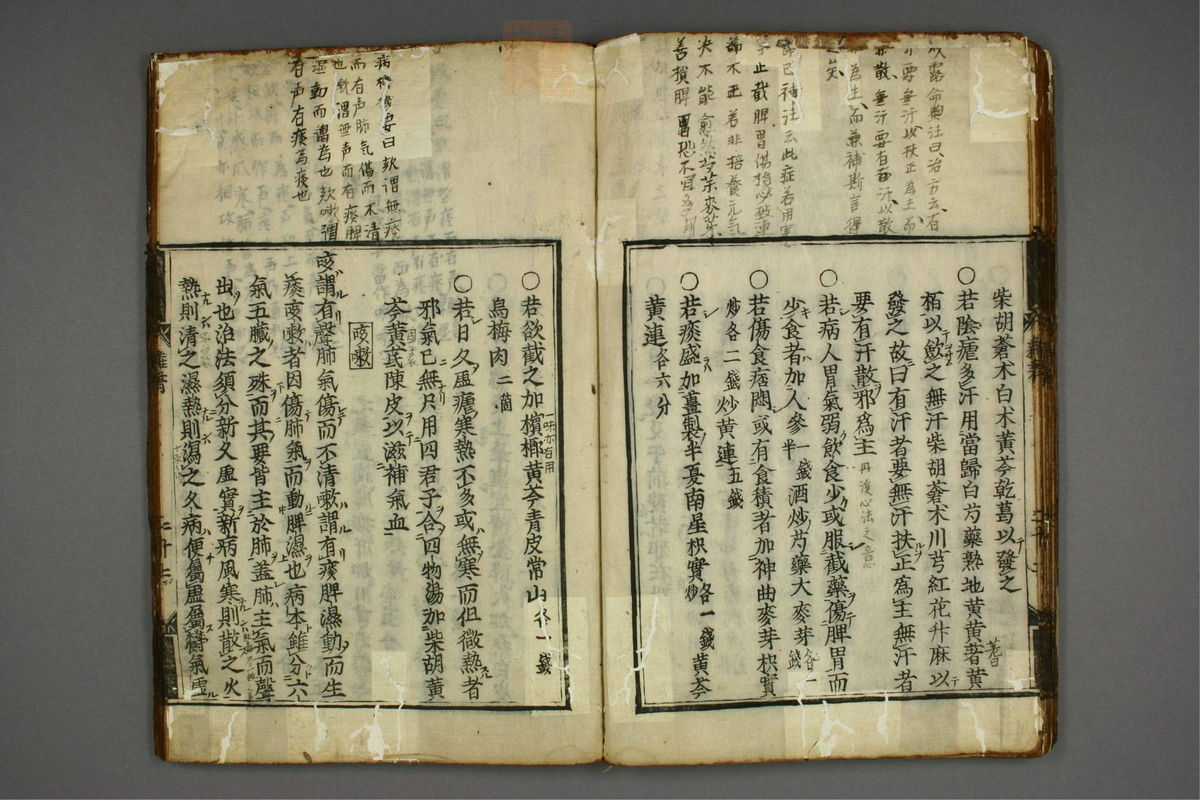 明医杂著(第27页)