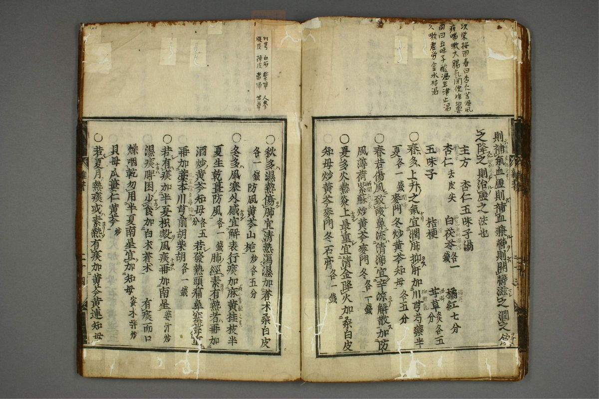 明医杂著(第28页)