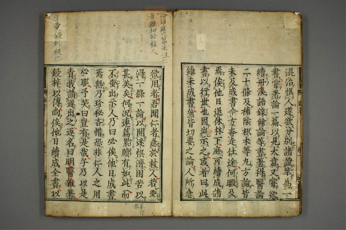 明医杂著(第3页)