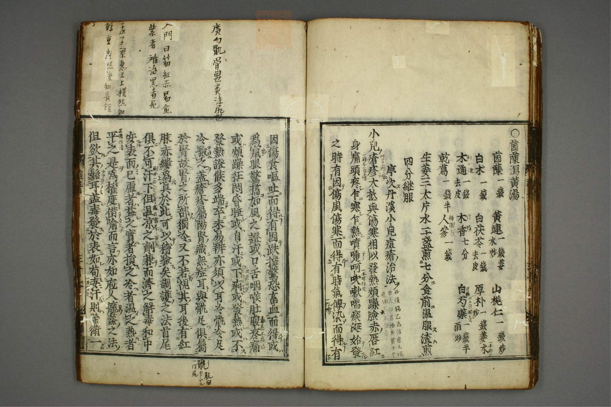 明医杂著(第36页)