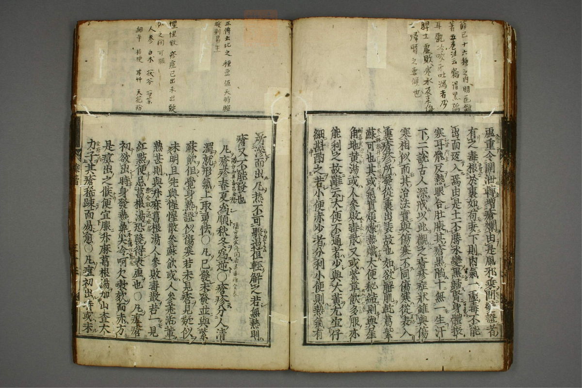明医杂著(第37页)