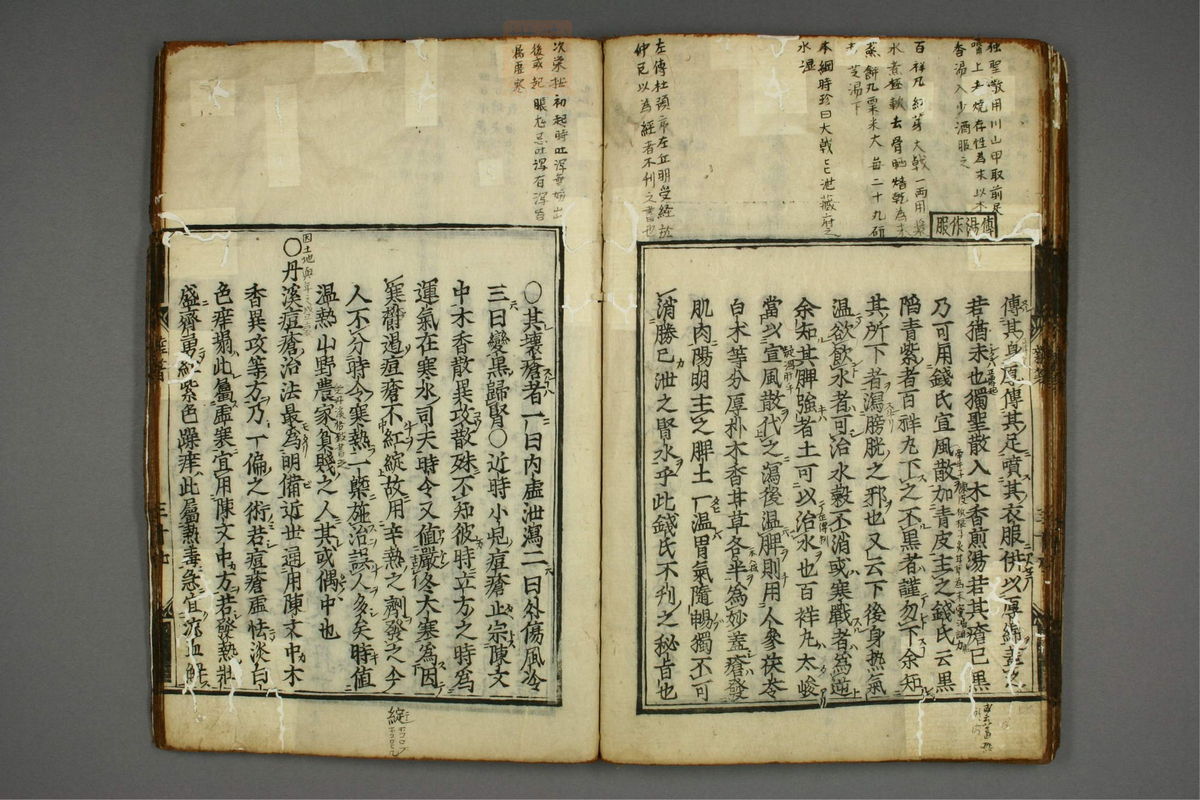 明医杂著(第41页)