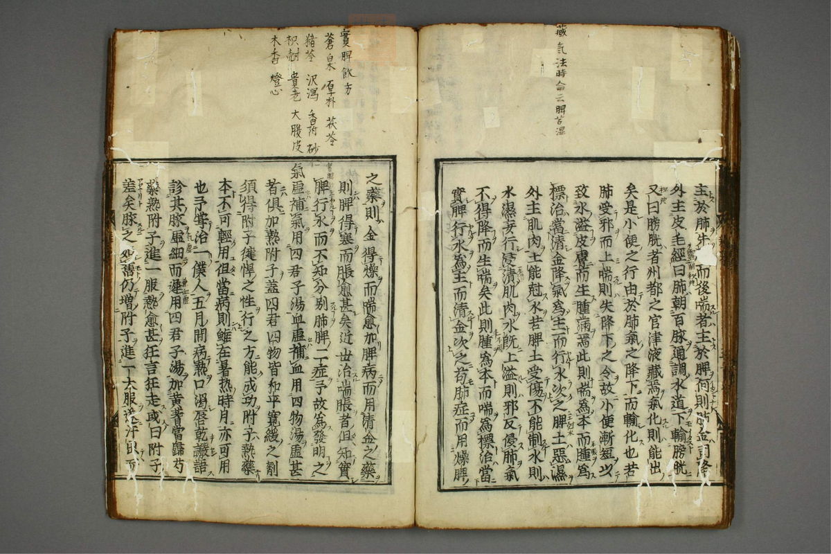 明医杂著(第43页)