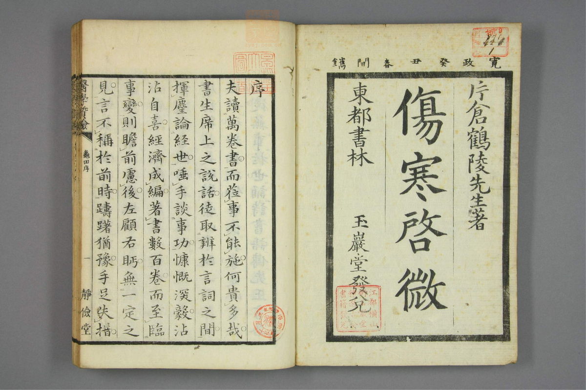 伤寒启微(第2页)