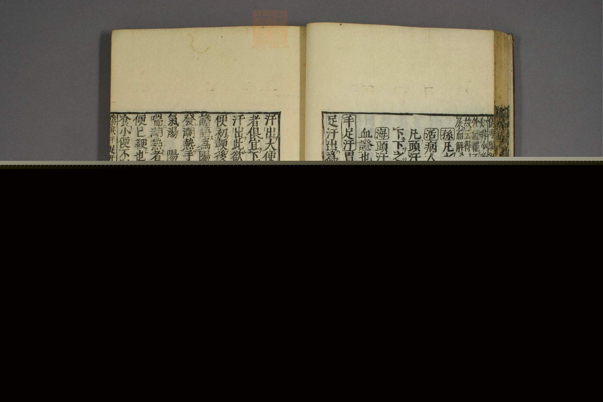 伤寒证治准绳(第238页)