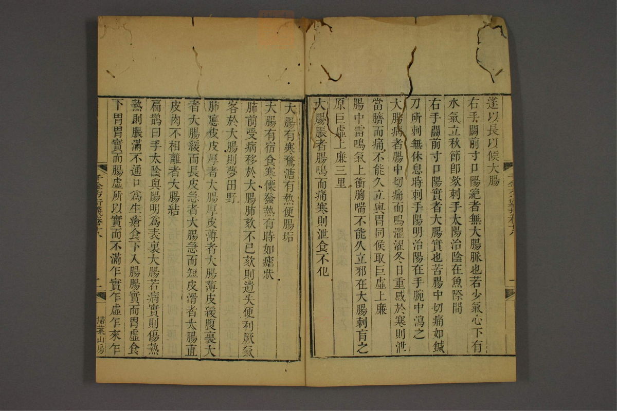 孙眞人千金方衍义(第1449页)