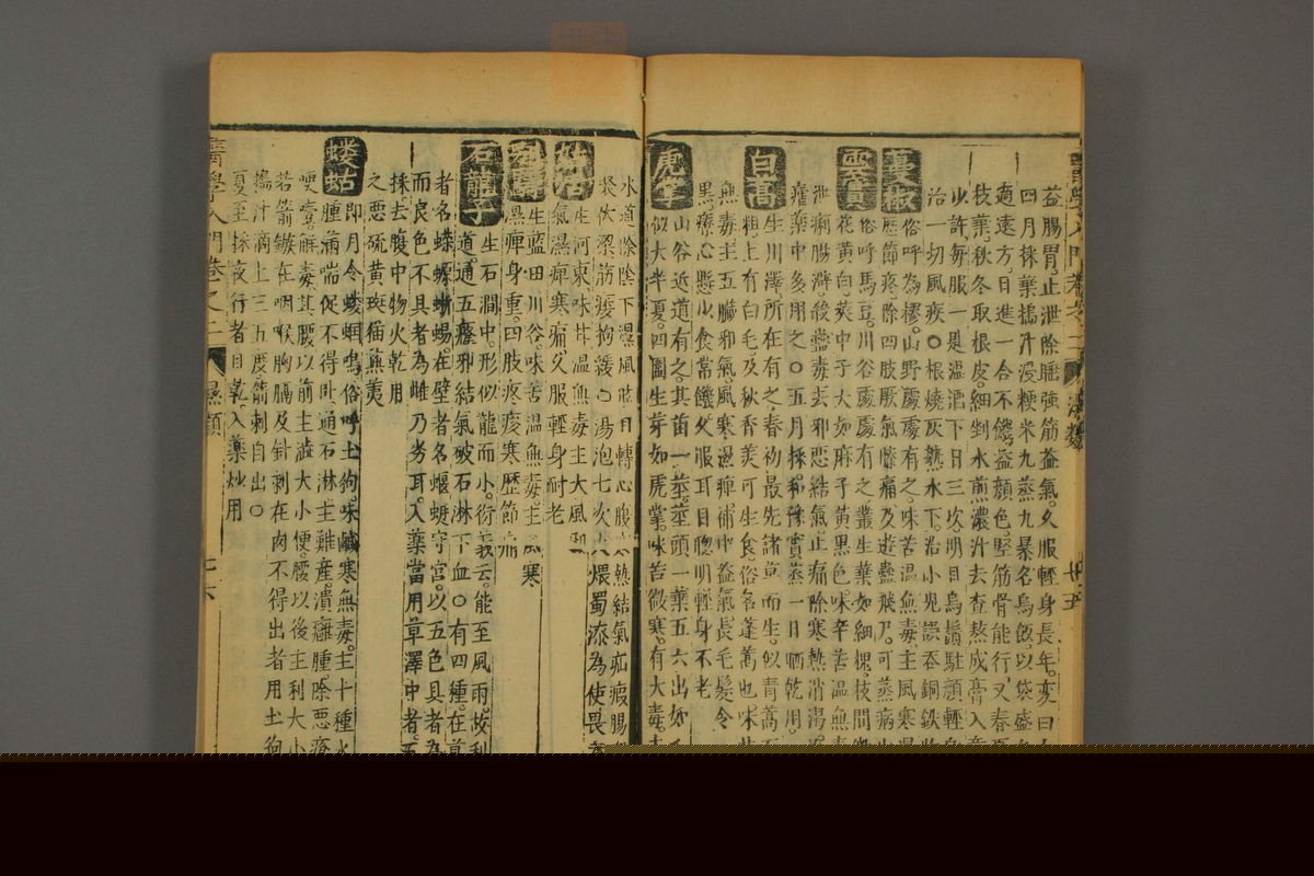 医学入门(第358页)