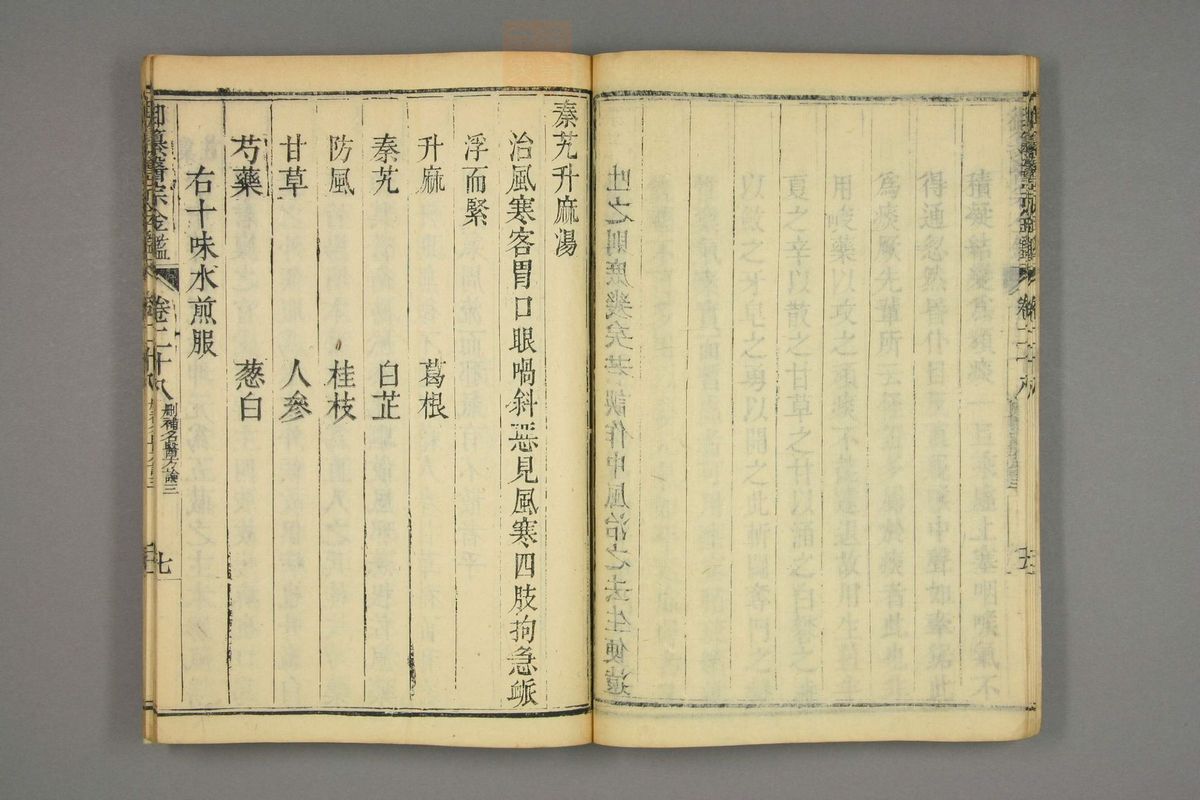 御纂医宗金鉴(第1393页)