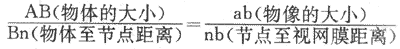 简化眼及其成像情况