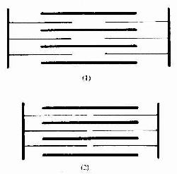 骨骼肌纤维收缩时 肌节结构变化图解