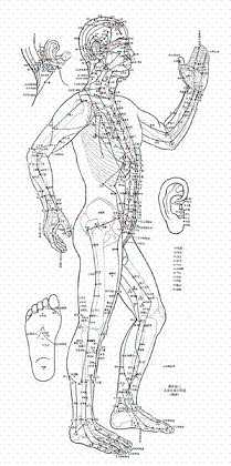 《针灸学》附经穴图