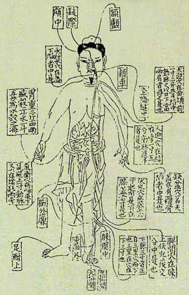 《活人书》经络图 